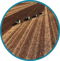 soluciones para empresas agroalimentarias